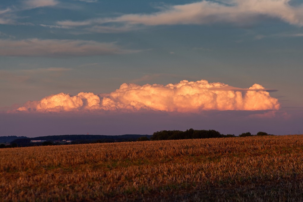 Cumulus congestus